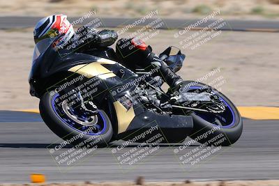 media/Oct-01-2023-SoCal Trackdays (Sun) [[4c570cc352]]/Turn 16 (120pm)/